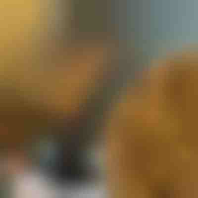 Světýlka na větvích | BRANCHLUMOS