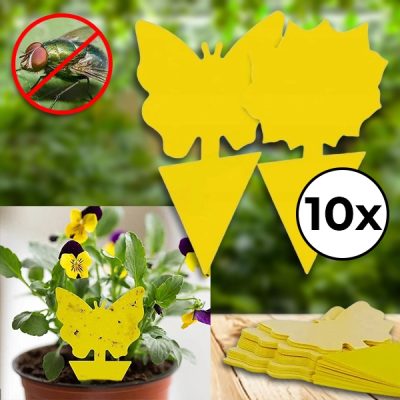 Lepové pasti na mouchy (10 ks) | BUGILURE