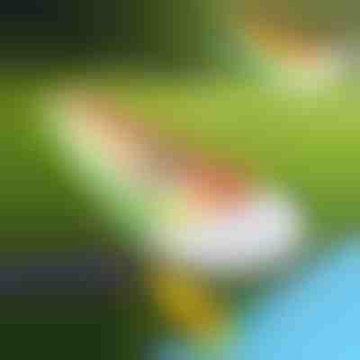 Nafukovací skluzavka (465x80 cm) | REEFLY