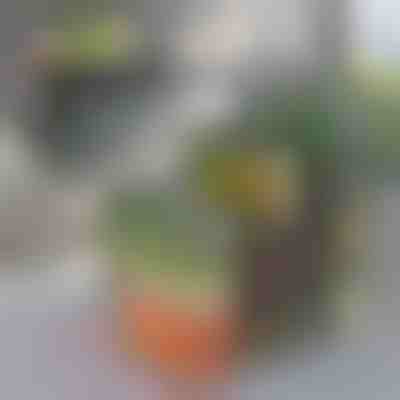 Organizér do chladničky | FRESHDISH