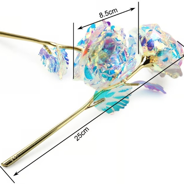 ROSIVERSE13700  + E-kniha