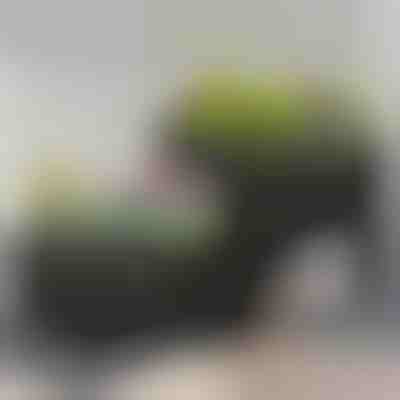 Box na pěstování | BOTANITKO